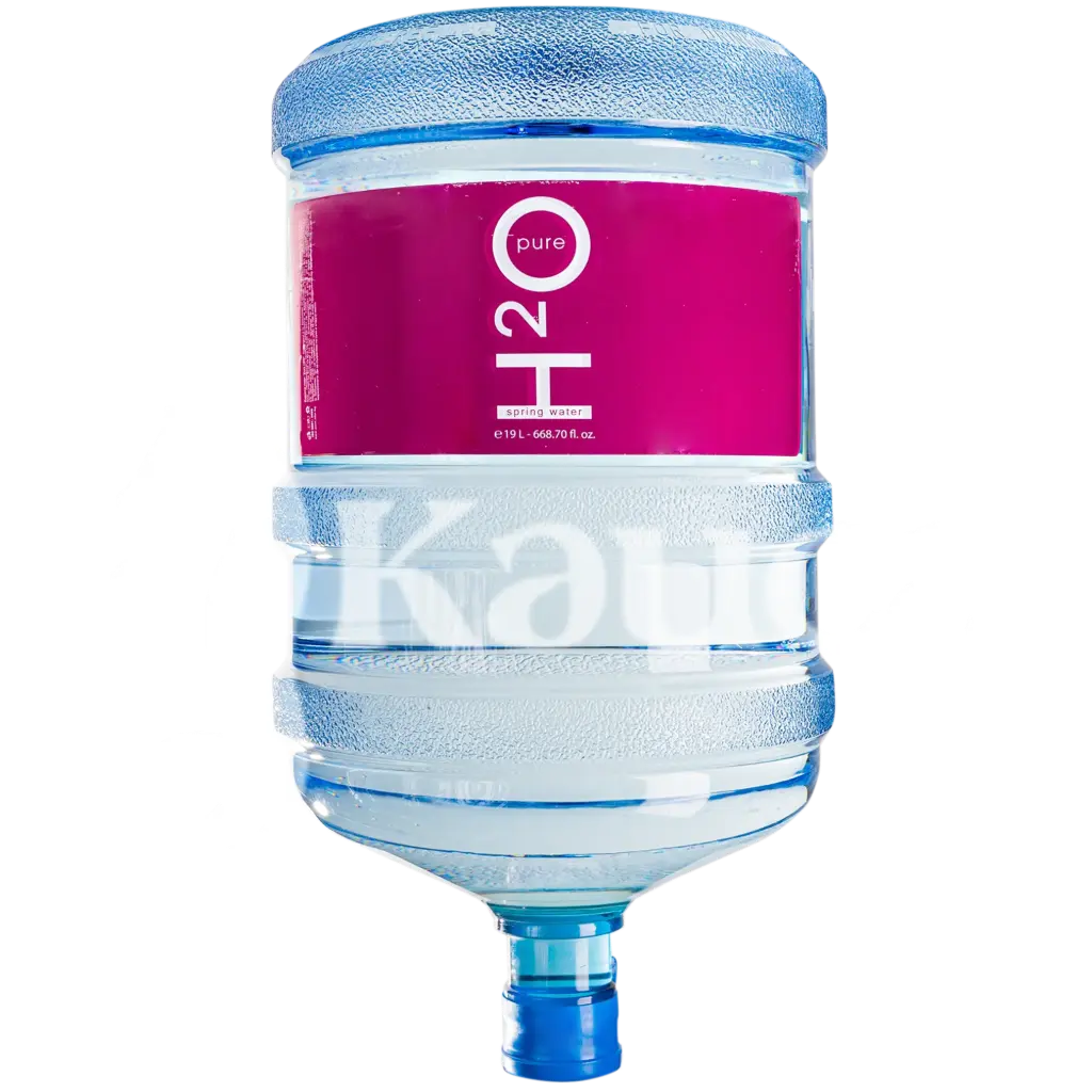 ИЗВОРНА ВОДА H2O ОТ БРАЦИГОВО 19 Л